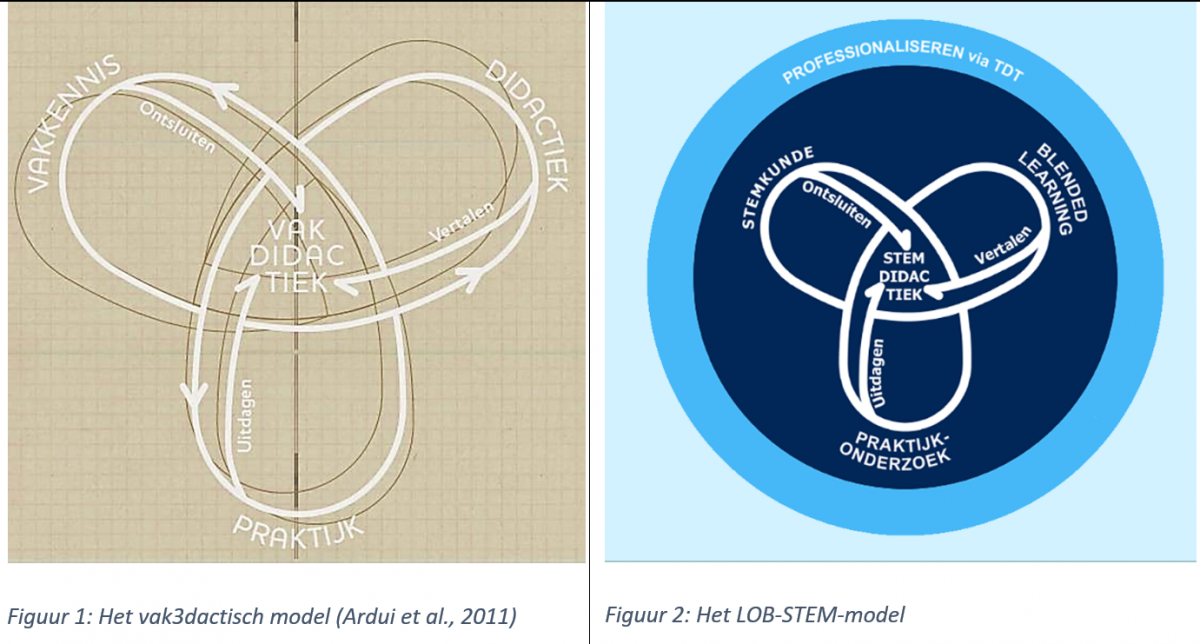 het vak3dactisch model en het LOB-STEM model
