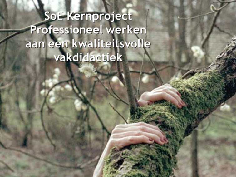 vakdidactiek